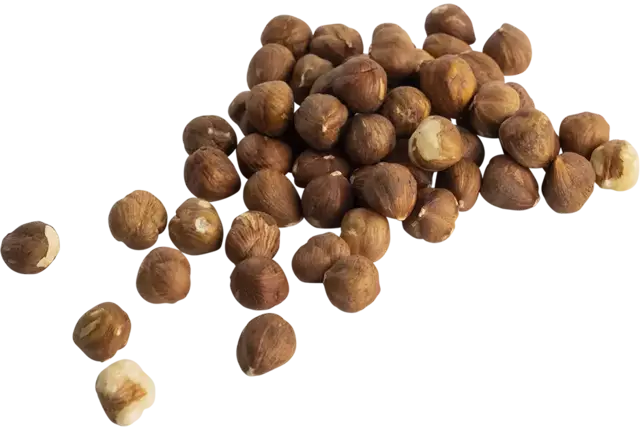 Hazelnoten bruin raw 1kg stuk